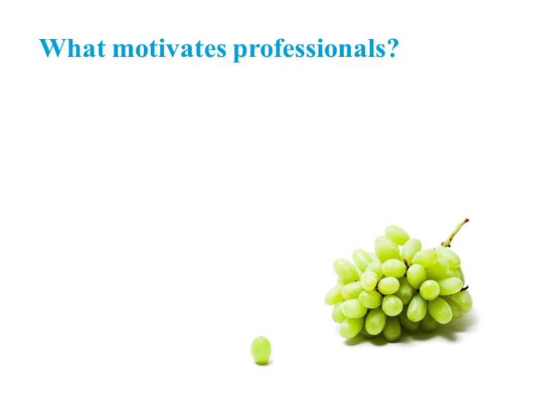 What motivates professionals?